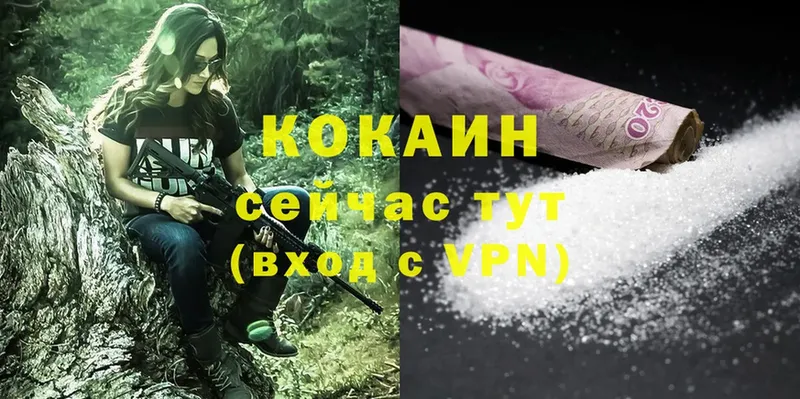 Виды наркоты Николаевск kraken ССЫЛКА  Меф  ГАШ  Бошки Шишки  Cocaine  А ПВП 